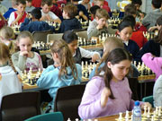 在线呼叫网页版软件